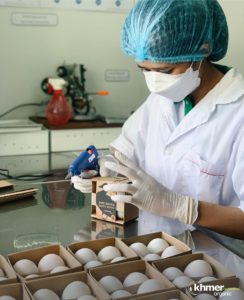 Egg processing